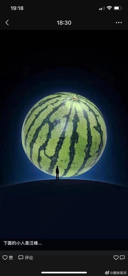 坐等吃瓜是什么意思