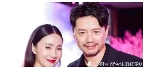 娱乐圈明星吃瓜顺序,从绯闻到真相，一网打尽！  第3张